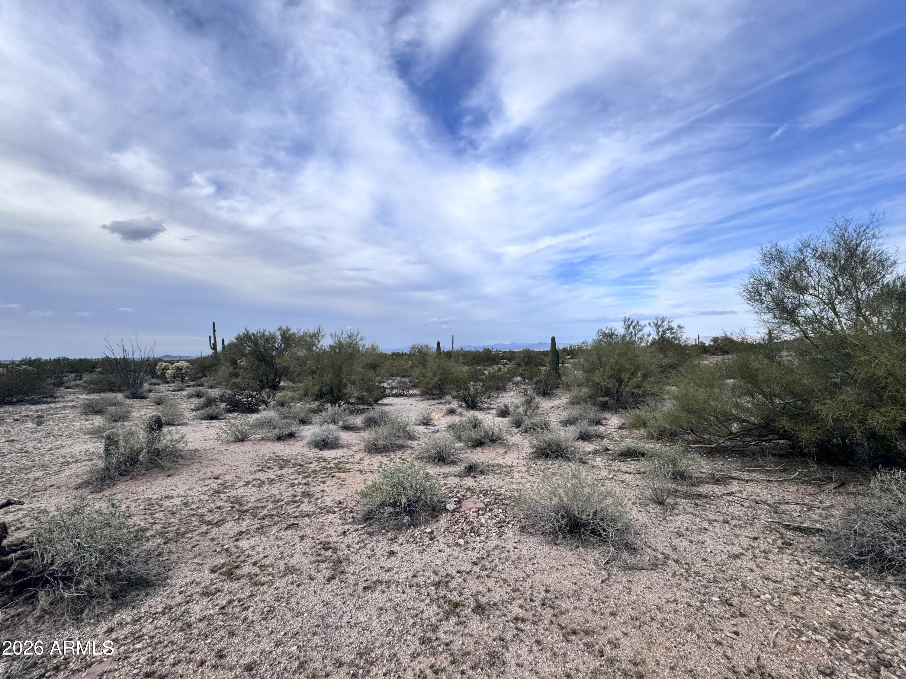 14438 North Reed Road Florence, AZ 85132 - Photo 22 of 28 a view of a dry field covered with trees
