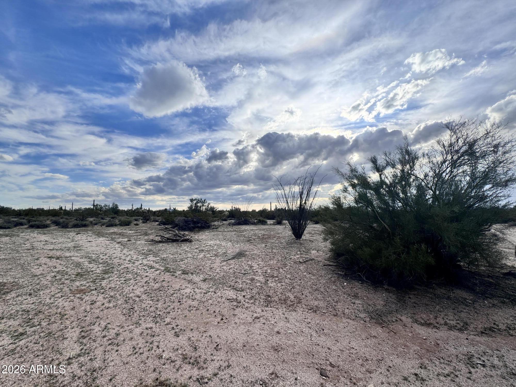 14438 North Reed Road Florence, AZ 85132 - Photo 25 of 28 a view of a dry yard with lots of trees