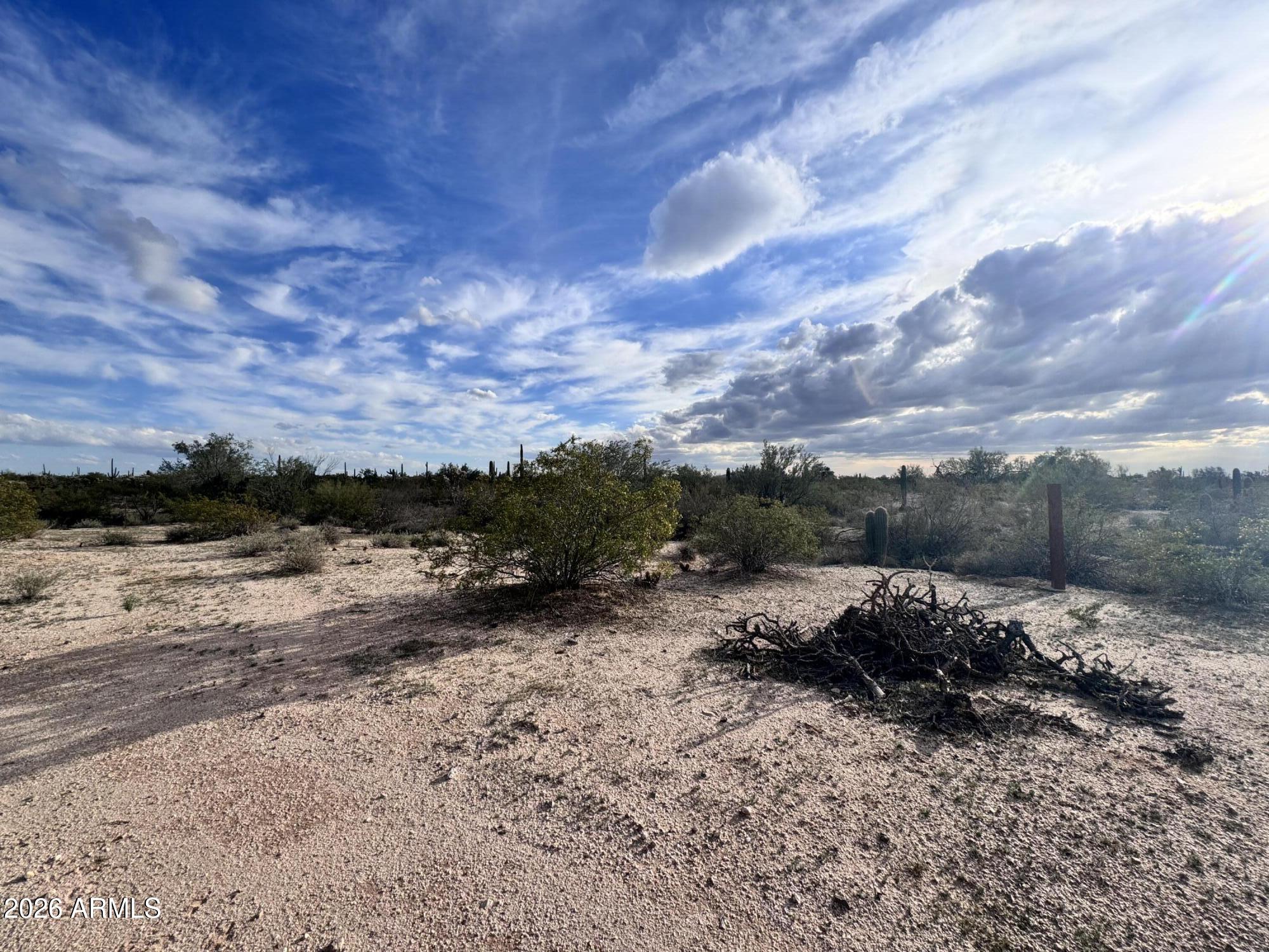 14438 North Reed Road Florence, AZ 85132 - Photo 27 of 28 a view of a dirt road with large trees