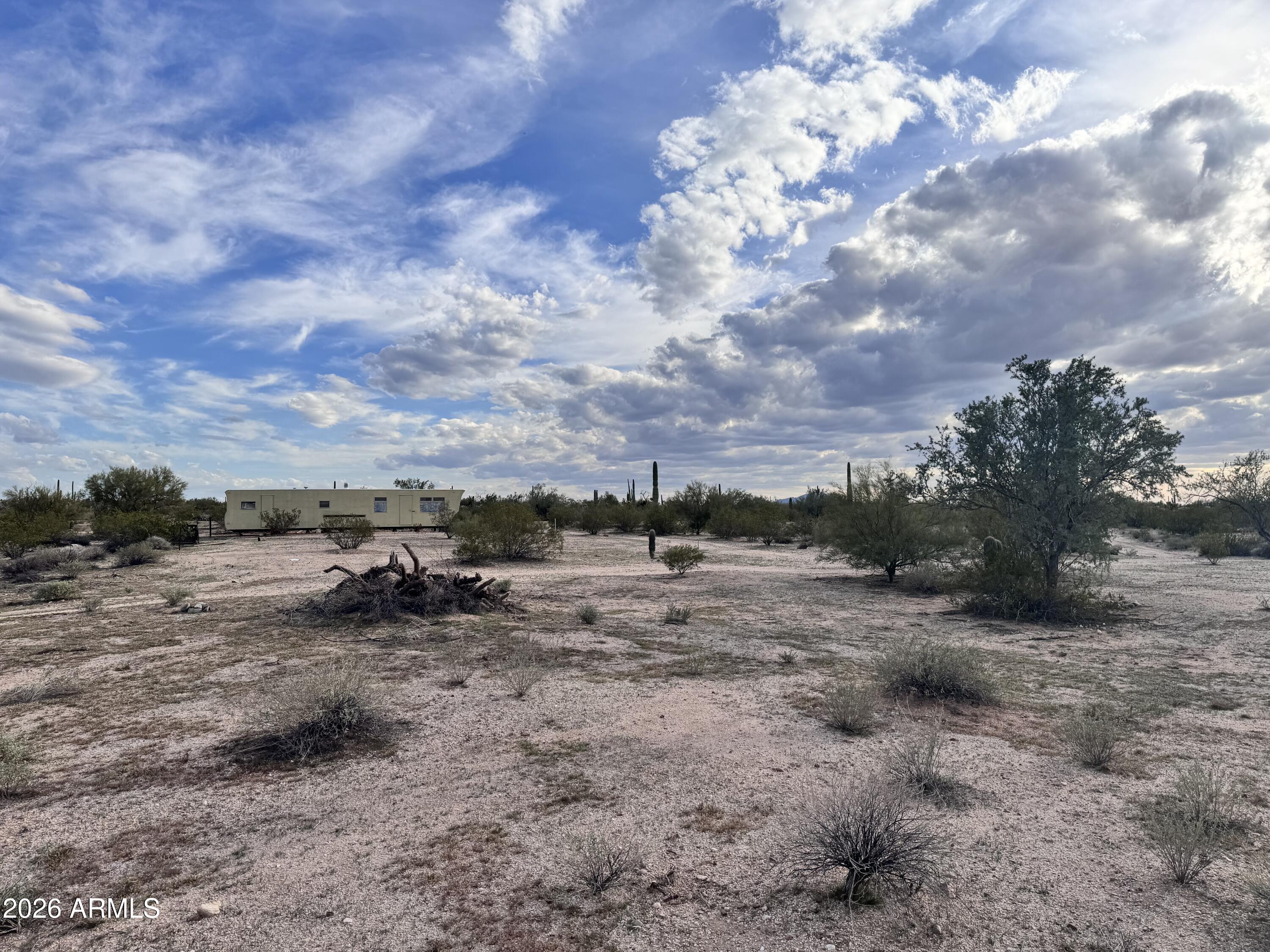 14438 North Reed Road Florence, AZ 85132 - Photo 10 of 28 a view of a dry yard with lots of trees