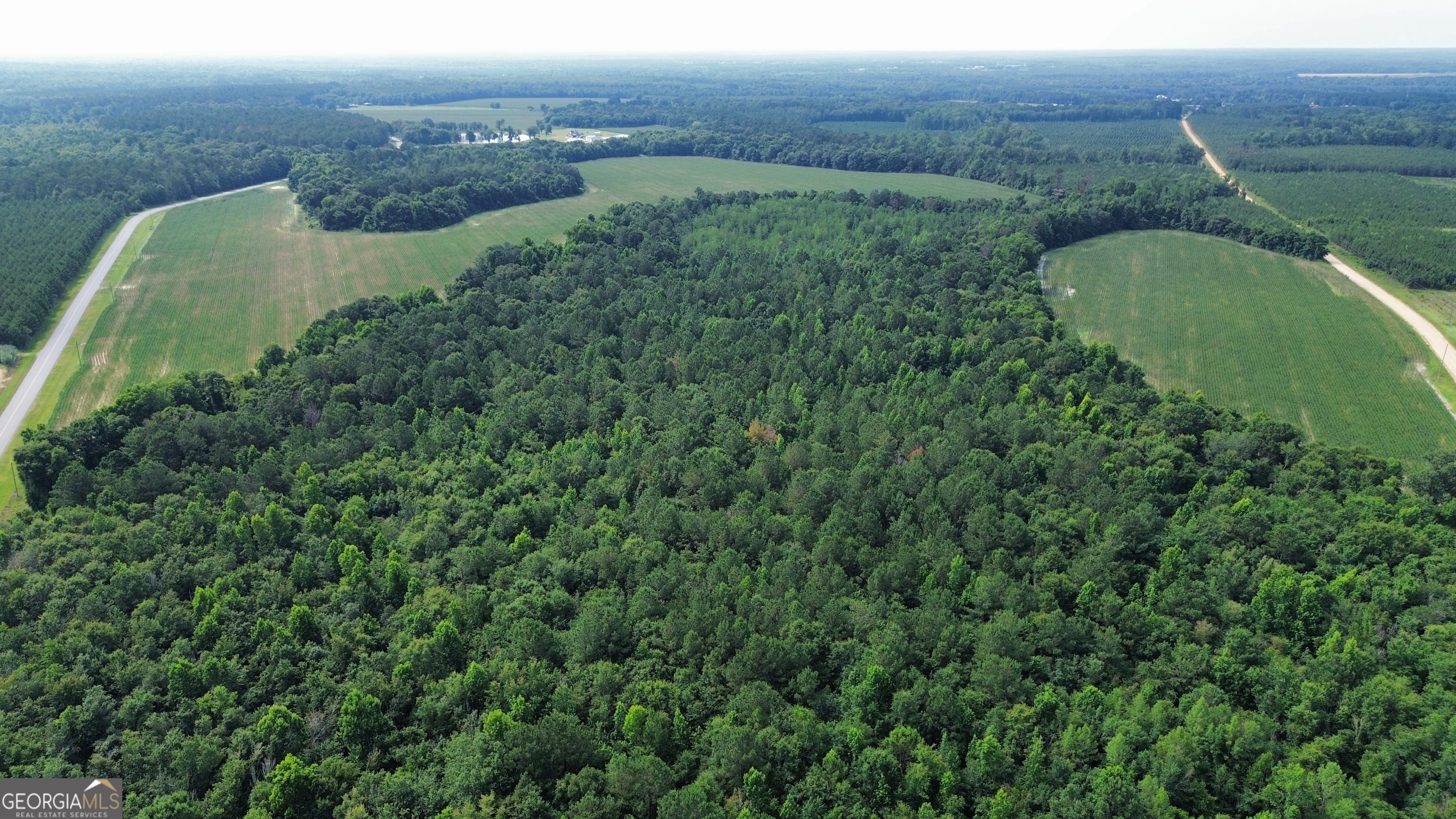 1665 Walke Dairy Road Dublin, GA 31021 - Photo 29 of 94