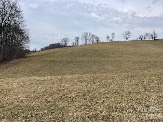 325 Tater Hill Road Zionville, NC 28698 - Photo 25 of 29