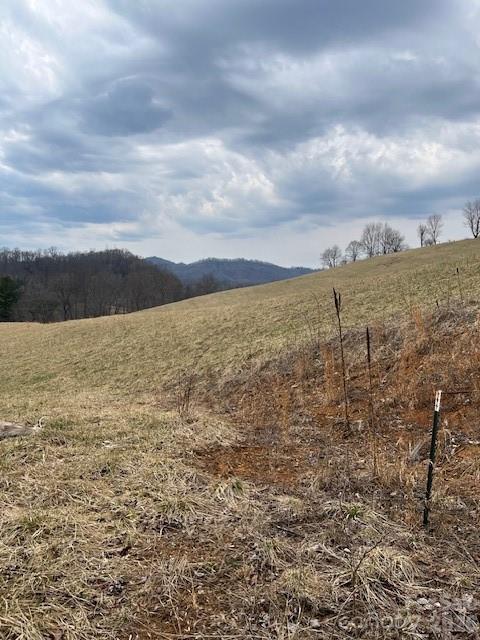 325 Tater Hill Road Zionville, NC 28698 - Photo 29 of 29