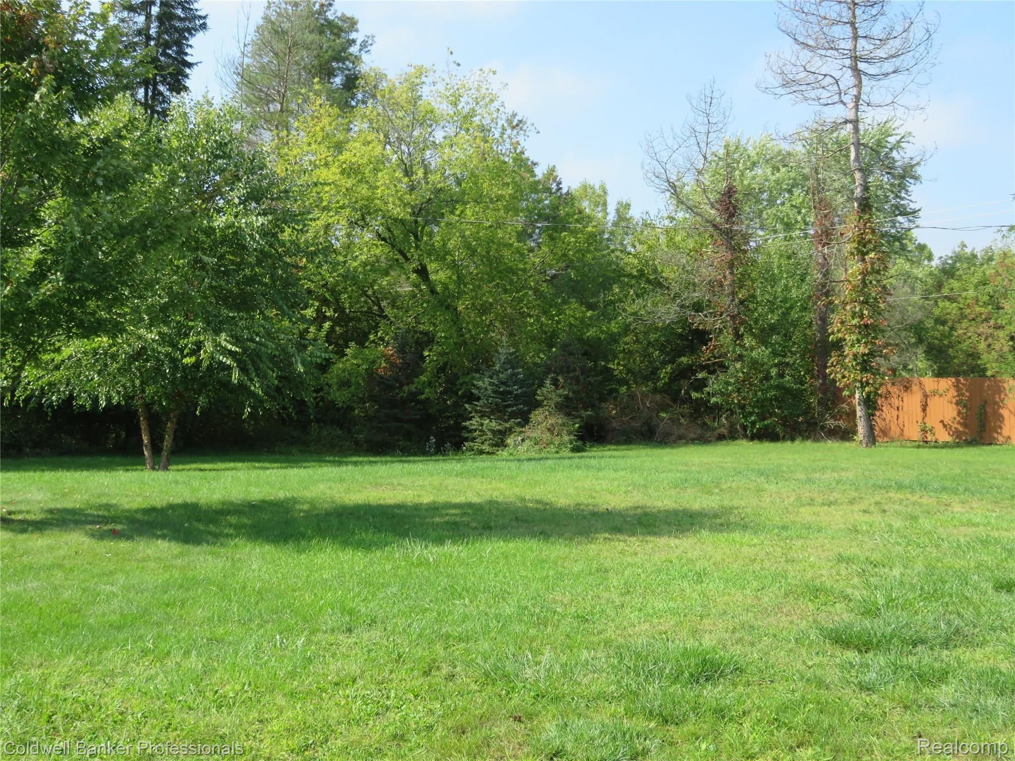 716 West Lansing Road Morrice, MI 48857 - Photo 16 of 17 16 716 Yard.JPG