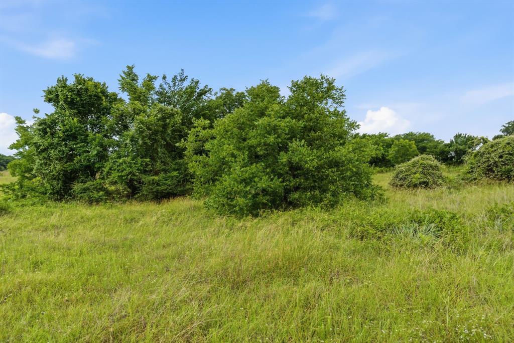 Tbd Lone Star Road Weatherford, TX 76088 - Photo 19 of 20