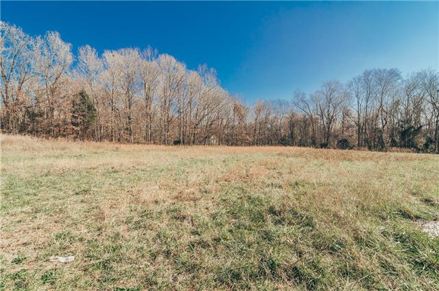 5470 Roy Pitt Road Springfield, TN 37172 - Photo 5 of 8
