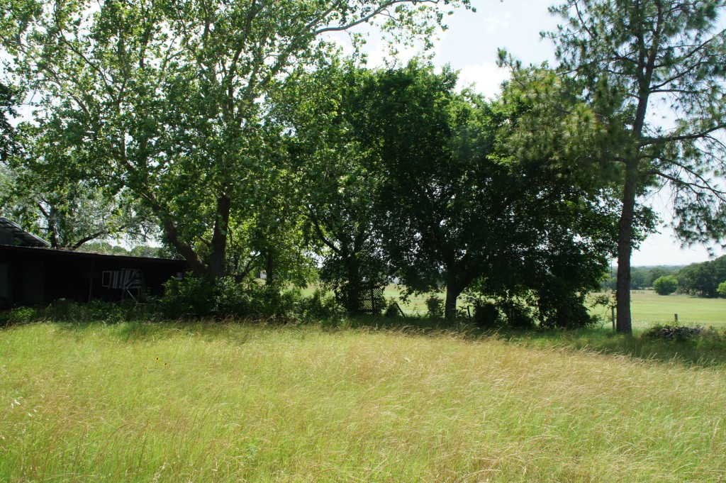 387 Old Lexington Road Elgin, TX 78621 - Photo 1 of 1