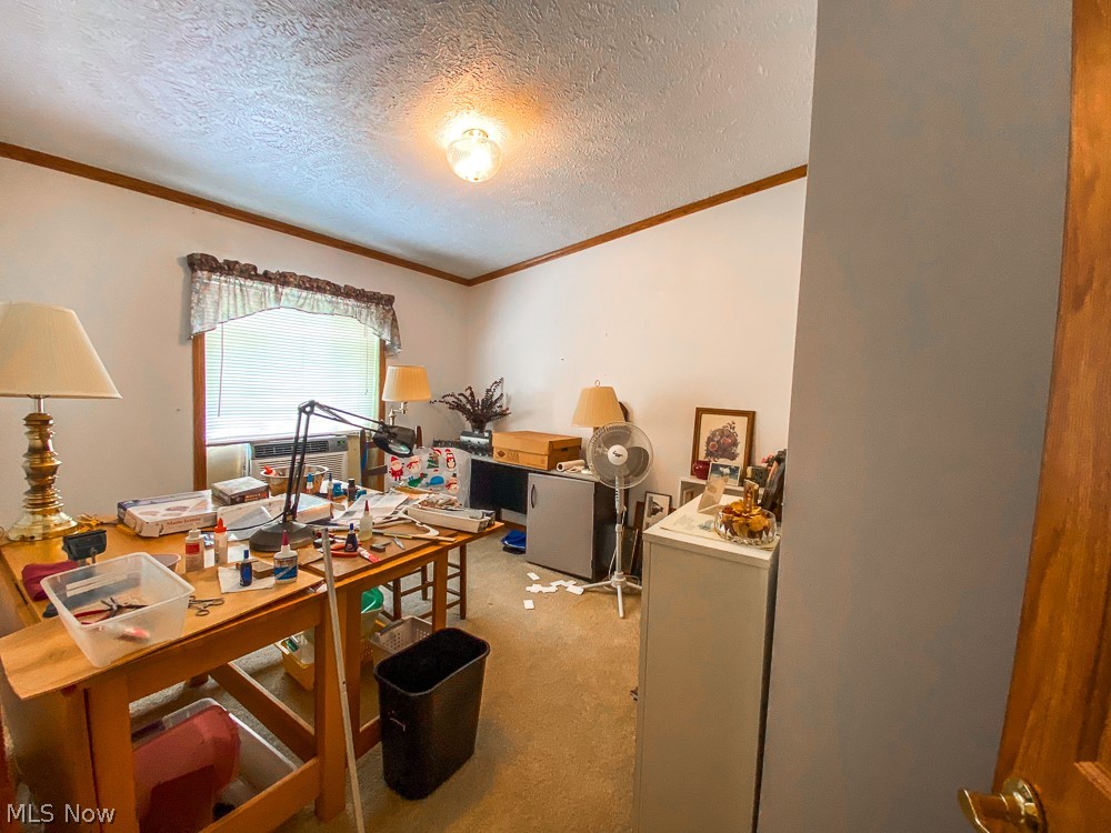 17499 Kinsman Road Middlefield, OH 44062 - Photo 37 of 49 Office space featuring light carpet and a textured ceiling