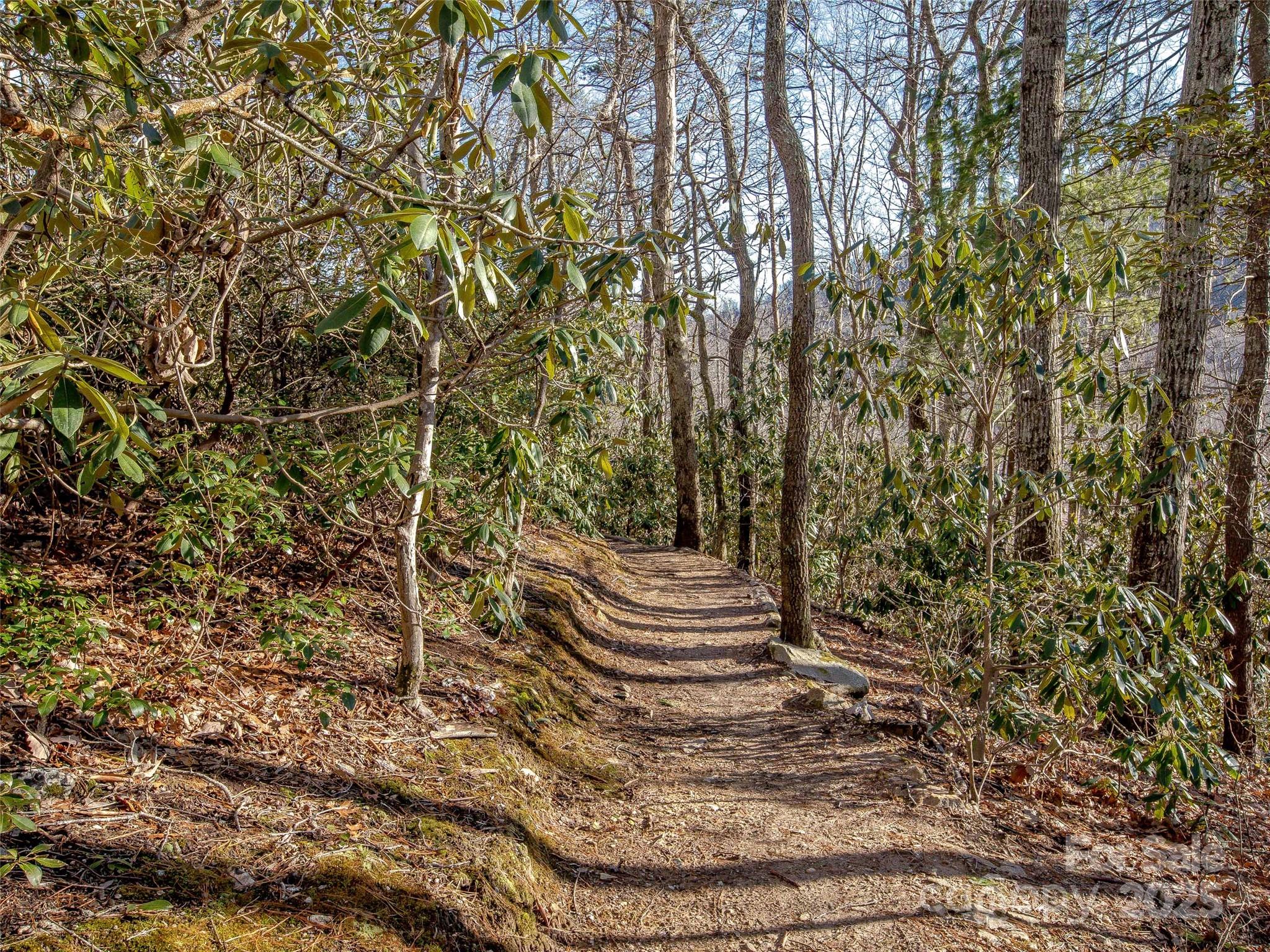 36 Slide Rock Way Fairview, NC 28730 - Photo 13 of 24 a view of a yard with some trees