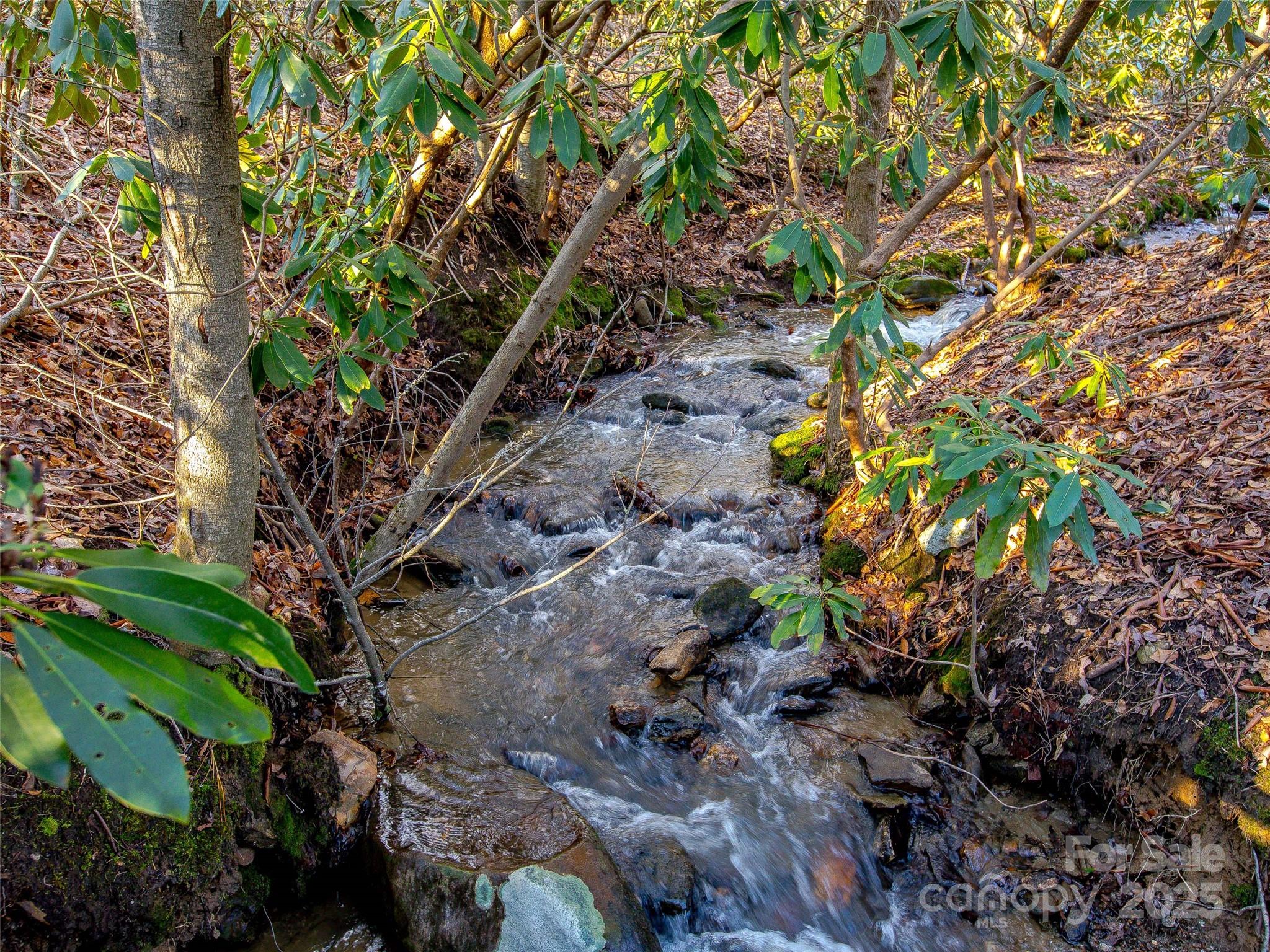 36 Slide Rock Way Fairview, NC 28730 - Photo 18 of 24 a backyard of a house with lots of plants and tree