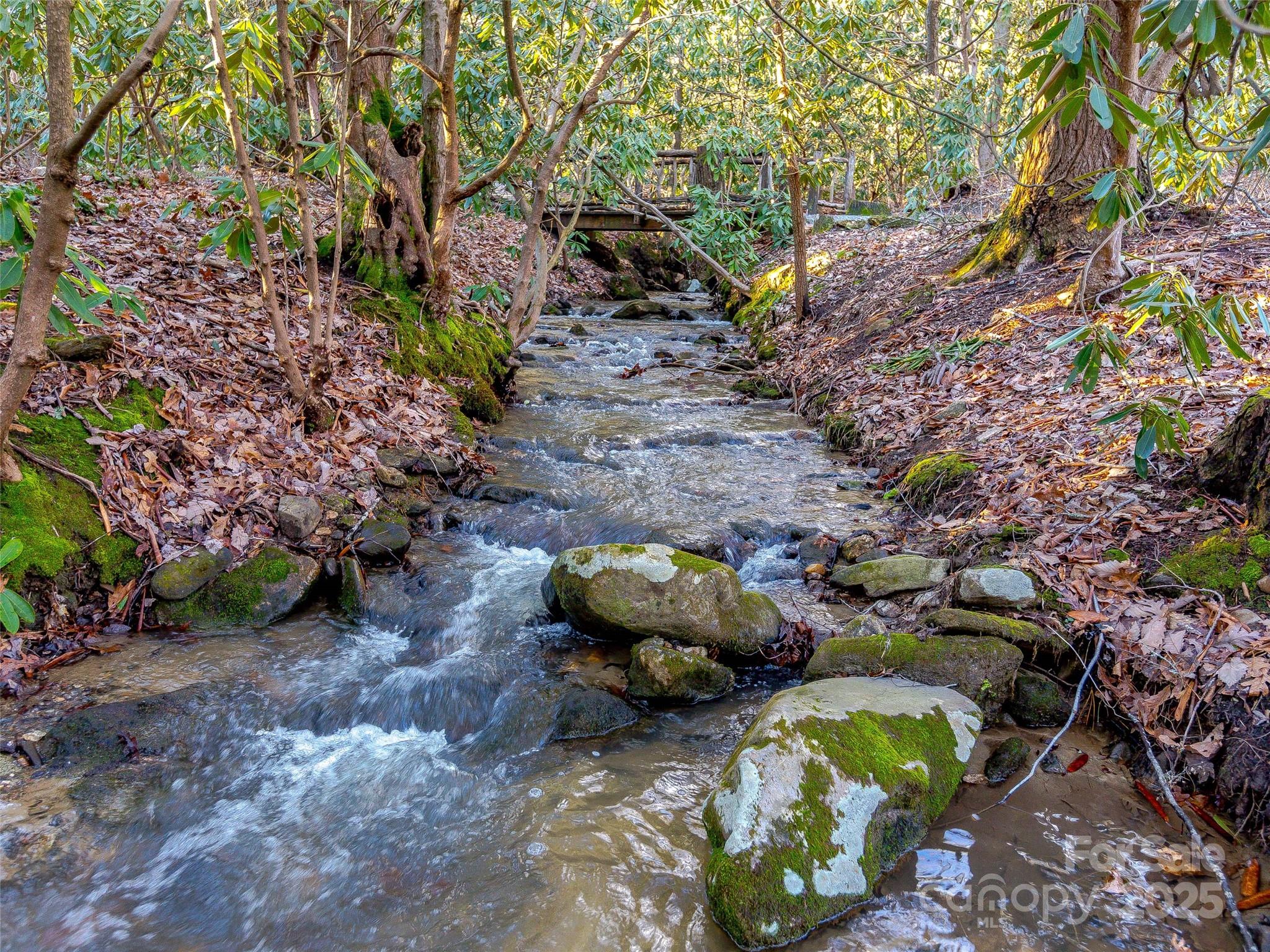 36 Slide Rock Way Fairview, NC 28730 - Photo 20 of 24 a backyard of a house with lots of green space