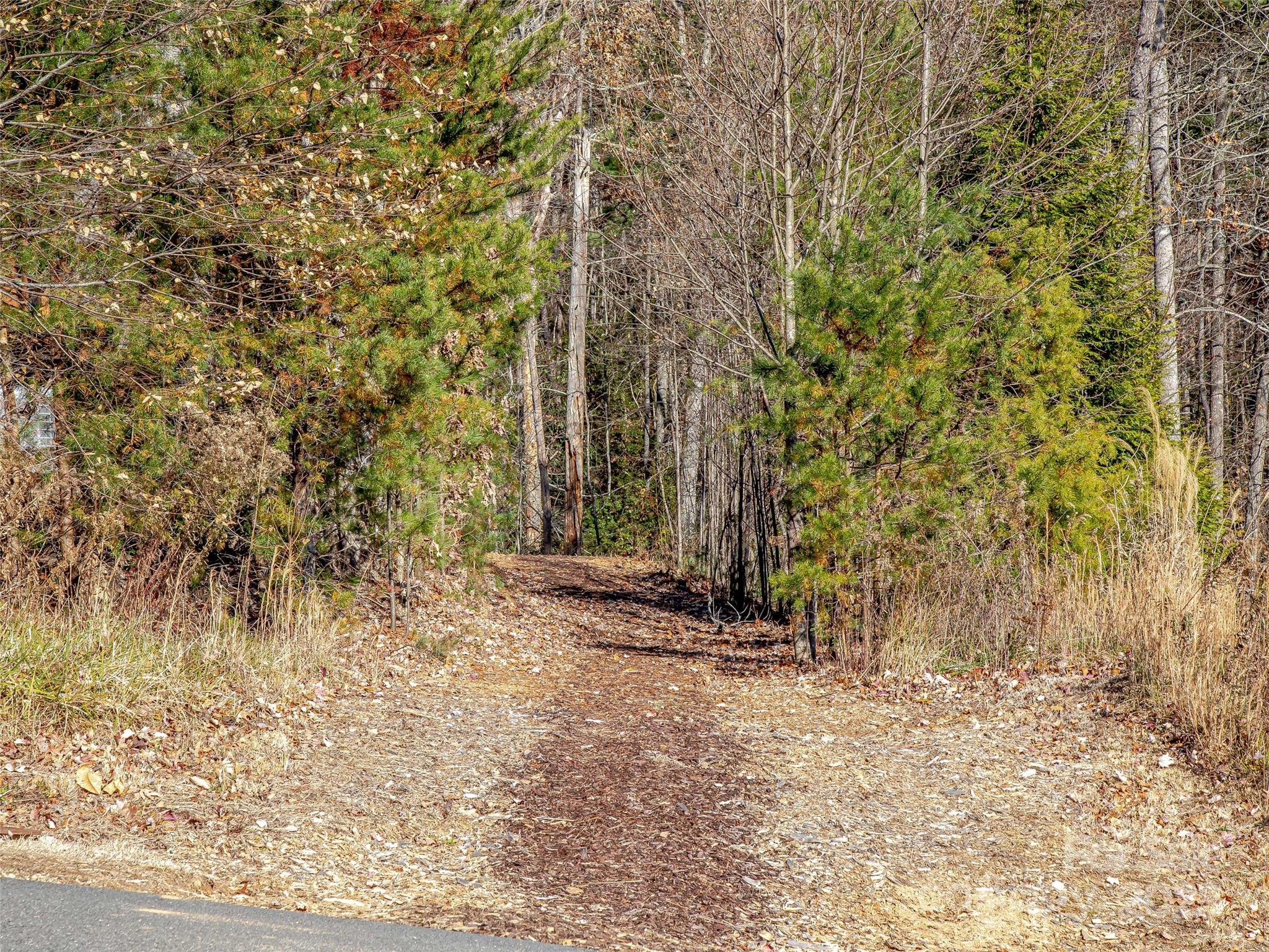 36 Slide Rock Way Fairview, NC 28730 - Photo 2 of 24 a view of outdoor space and a yard