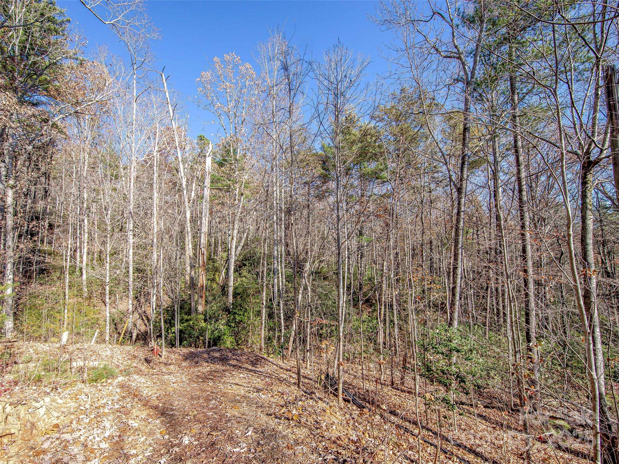 36 Slide Rock Way Fairview, NC 28730 - Photo 3 of 24 a view of a yard with trees