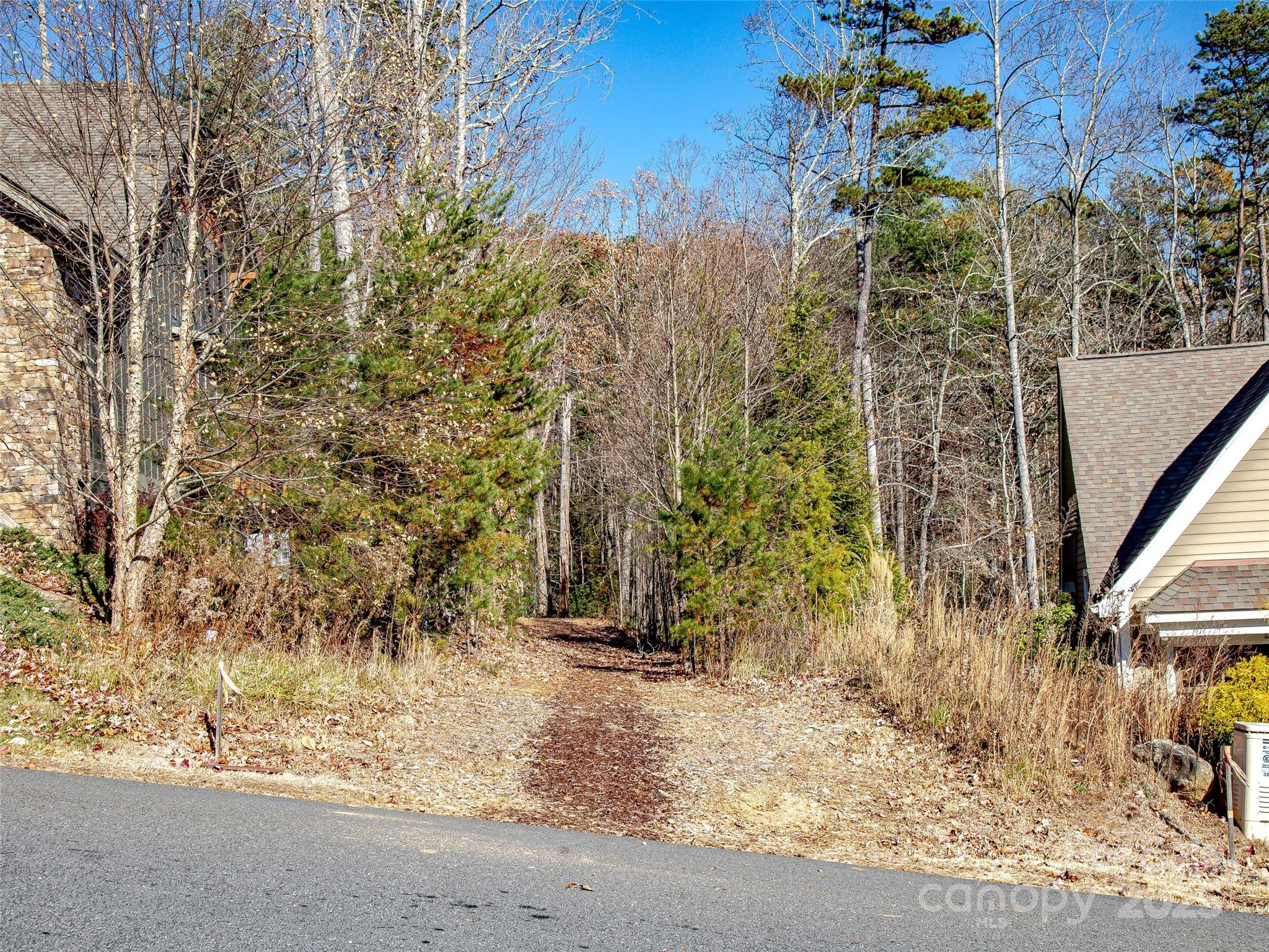 36 Slide Rock Way Fairview, NC 28730 - Photo 4 of 24 a view of a yard with plants and trees