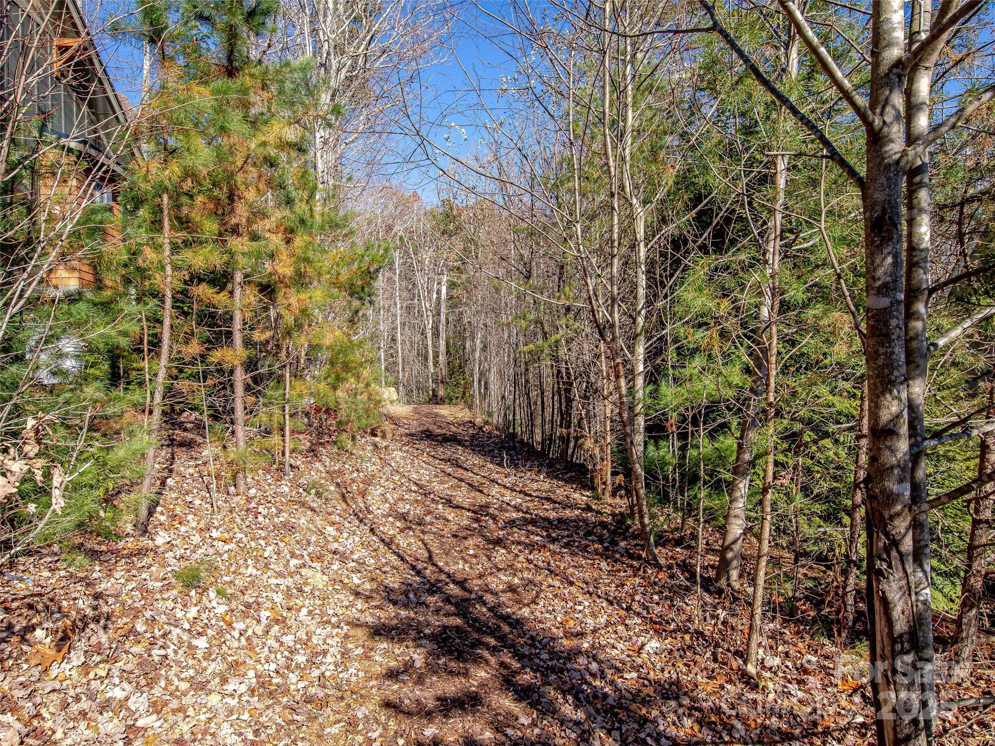 36 Slide Rock Way Fairview, NC 28730 - Photo 5 of 24 a view of yard