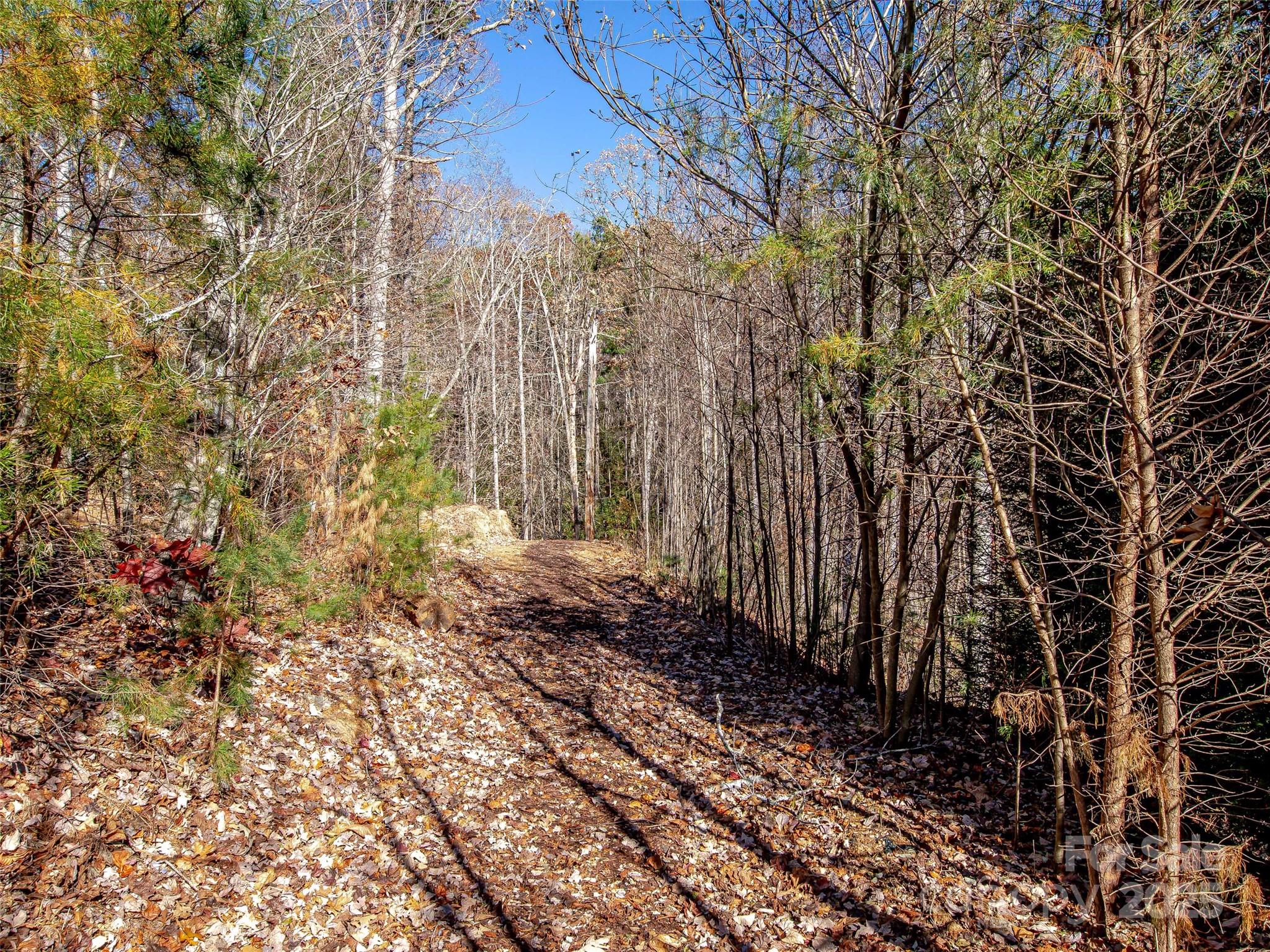 36 Slide Rock Way Fairview, NC 28730 - Photo 6 of 24 a view of a backyard of the house