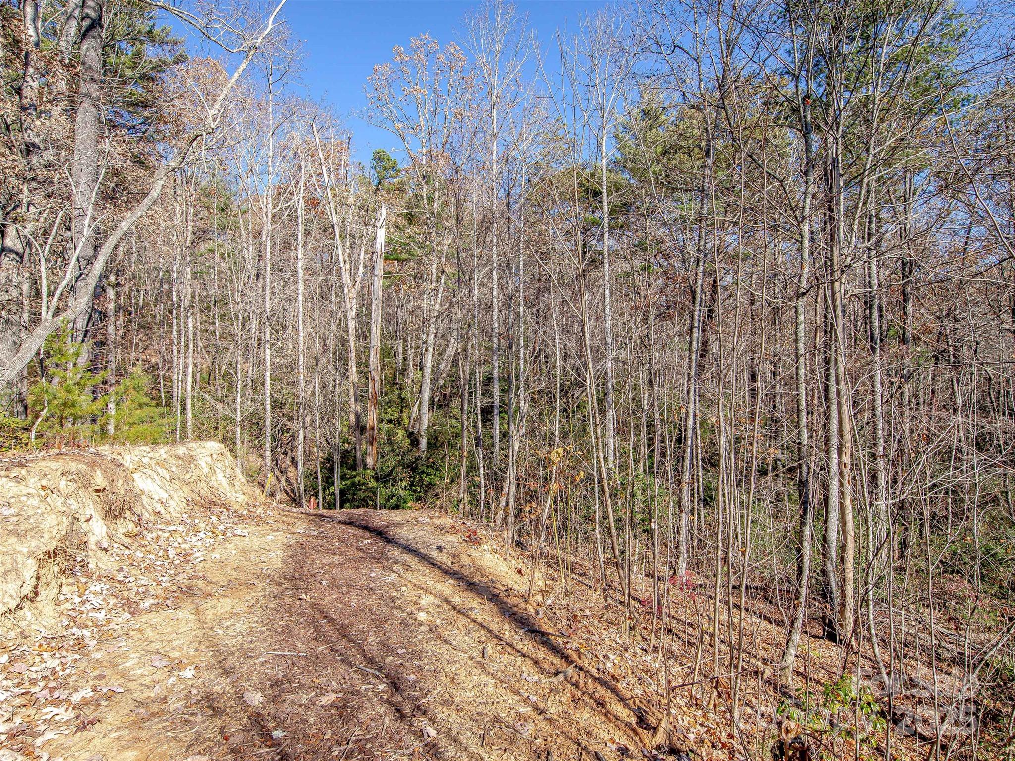 36 Slide Rock Way Fairview, NC 28730 - Photo 7 of 24 a view of a yard with trees