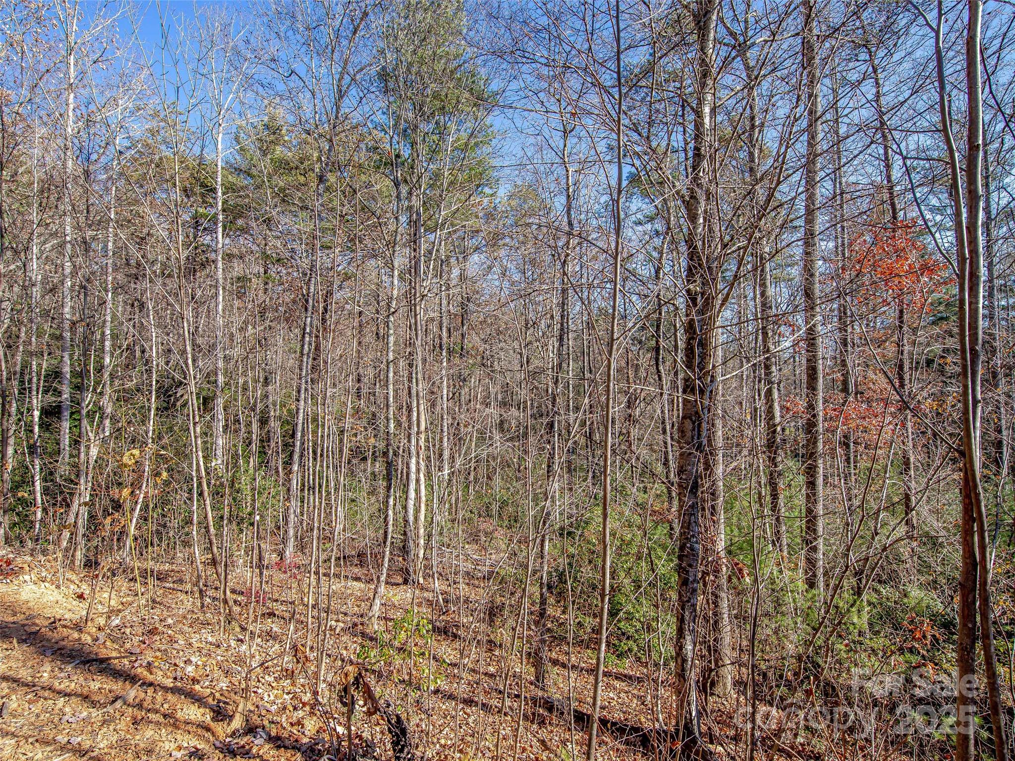 36 Slide Rock Way Fairview, NC 28730 - Photo 8 of 24 a view of a backyard of the house