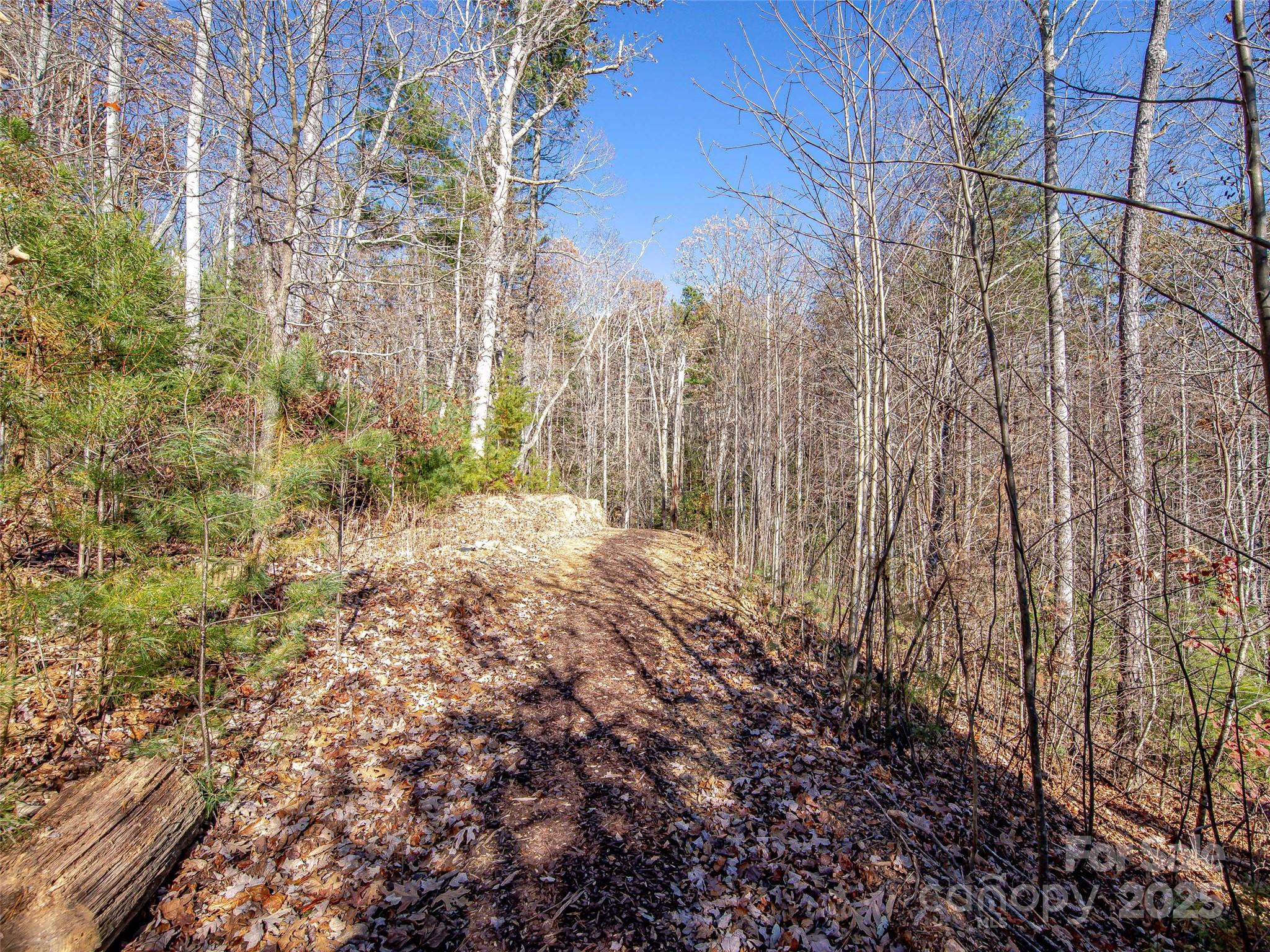 36 Slide Rock Way Fairview, NC 28730 - Photo 10 of 24 a view of backyard of building