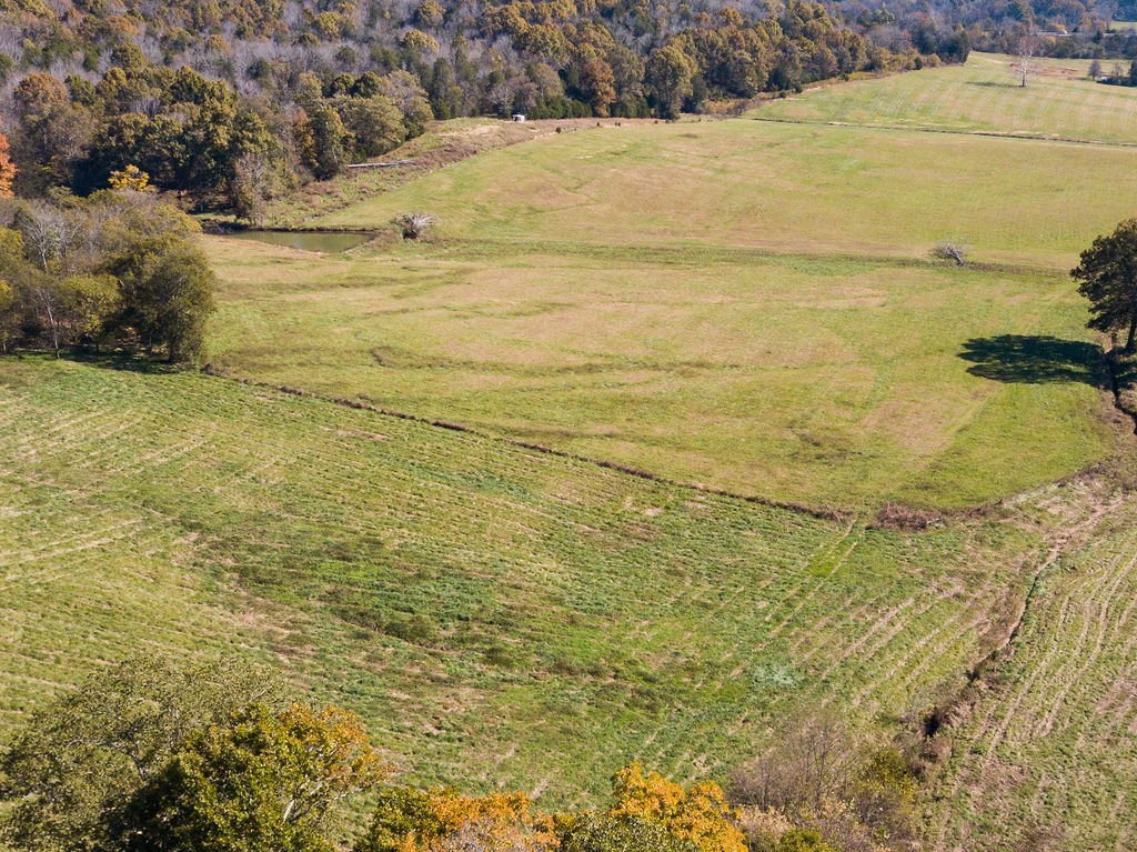 0 Jenkins Road Santa Fe, TN 38482 - Photo 11 of 21 a view of an ocean