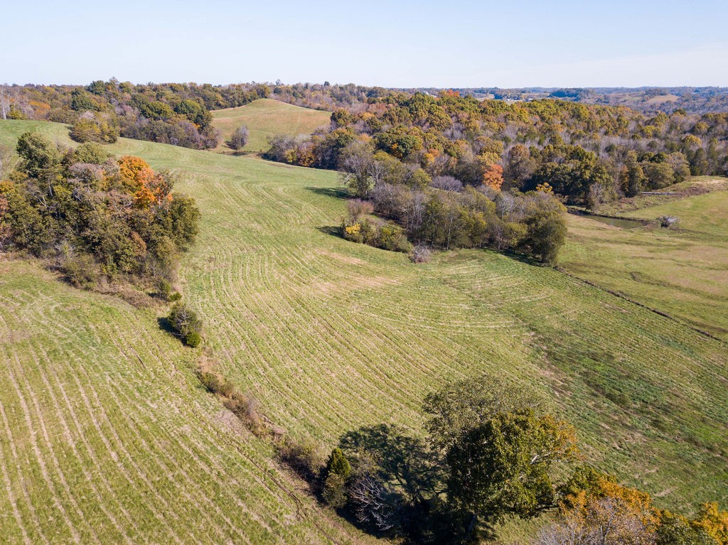 0 Jenkins Road Santa Fe, TN 38482 - Photo 12 of 21 a view of mountains