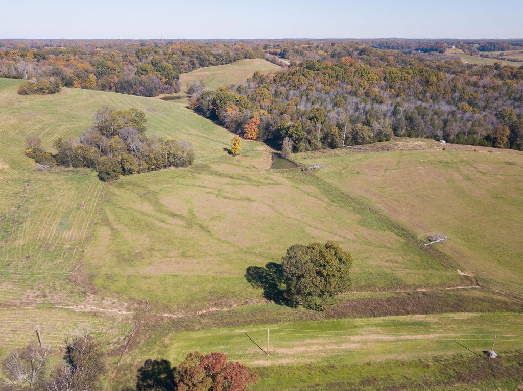 0 Jenkins Road Santa Fe, TN 38482 - Photo 15 of 21 a view of a field