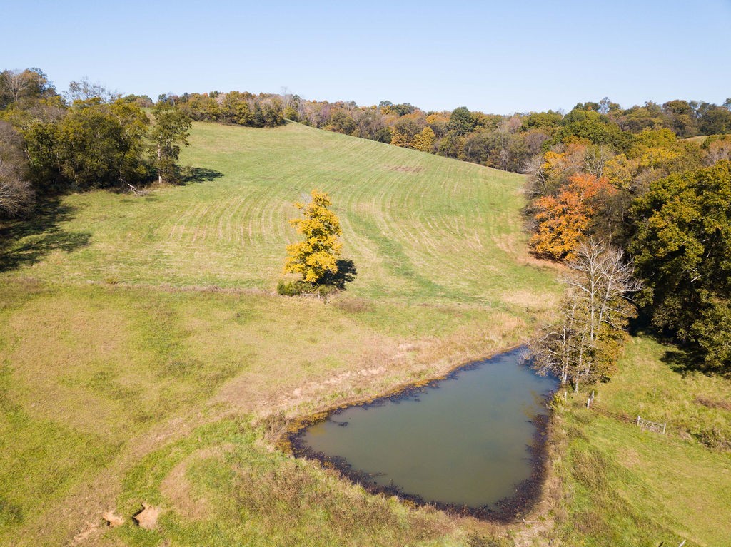 0 Jenkins Road Santa Fe, TN 38482 - Photo 18 of 21 a view of lake