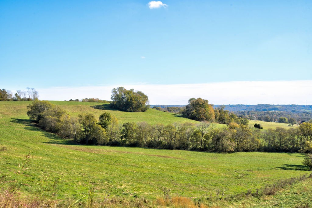 0 Jenkins Road Santa Fe, TN 38482 - Photo 21 of 21 a view of a field with an ocean
