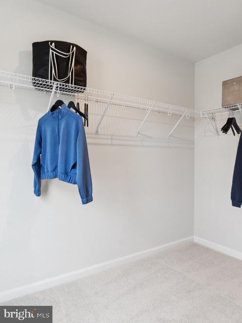 82 Angus Road Charles Town, WV 25414 - Photo 16 of 27 The Nichols- Primary Walk In Closet