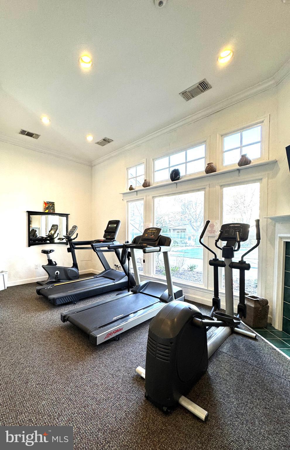 12005 Taliesin Place, Unit 35 Reston, VA 20190 - Photo 27 of 39 a living room with gym equipment