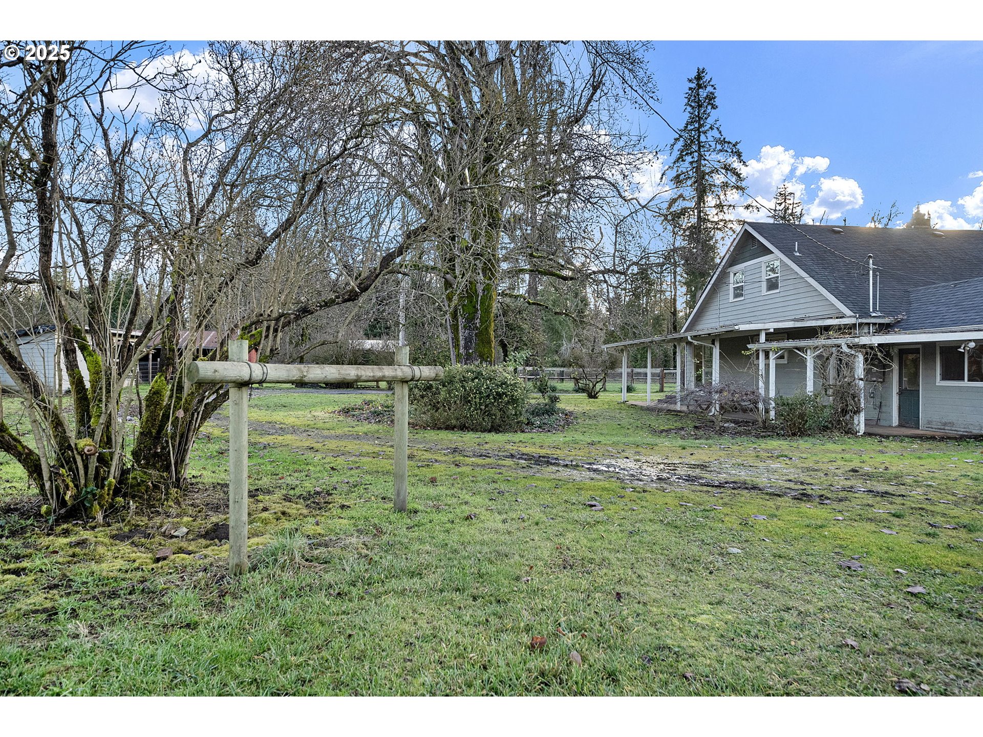 84020 Brown Road Dexter, OR 97431 - Photo 28 of 48 a backyard of a house with lots of green space