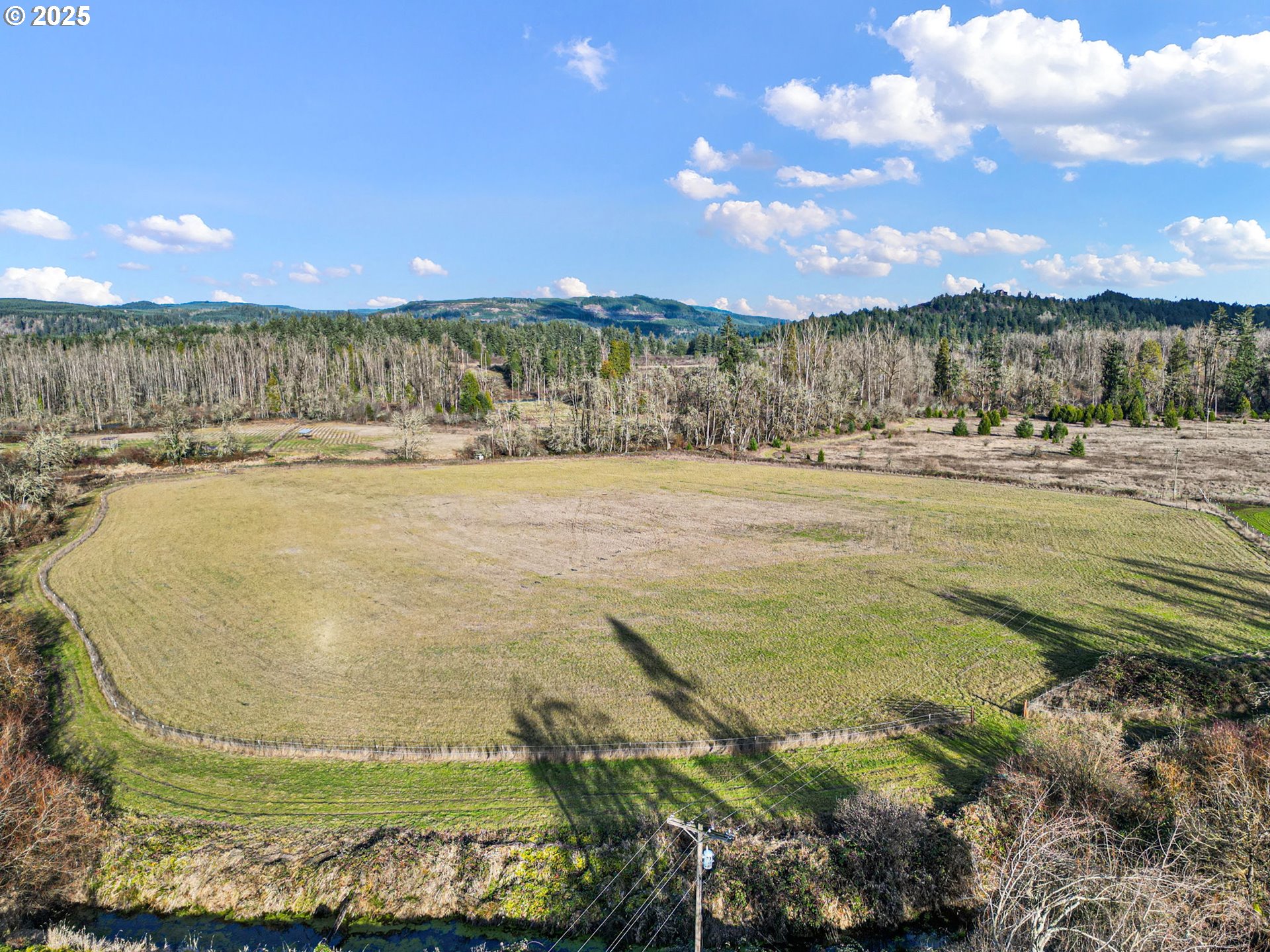 84020 Brown Road Dexter, OR 97431 - Photo 39 of 48 a view of an outdoor space and yard