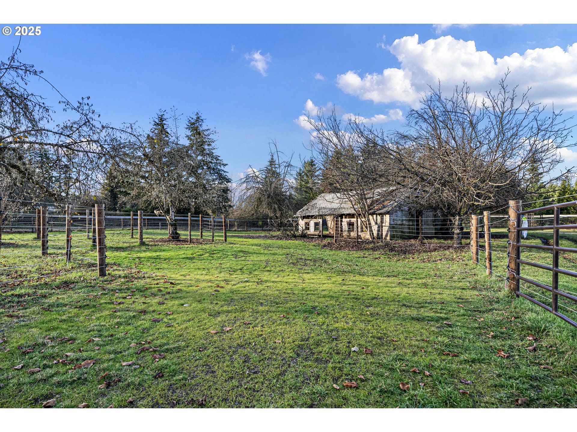 84020 Brown Road Dexter, OR 97431 - Photo 41 of 48 a view of a house with a yard