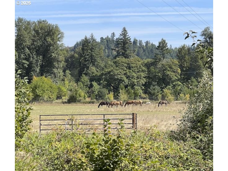 84020 Brown Road Dexter, OR 97431 - Photo 45 of 48 a view of a yard with mountain