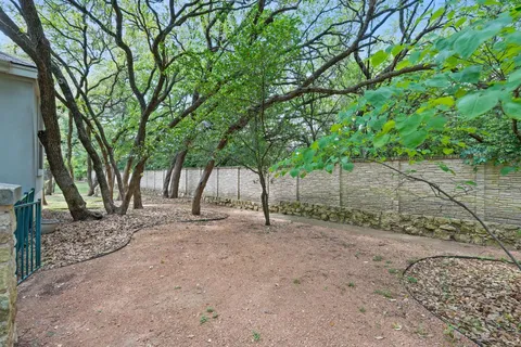 a view of a yard with a tree