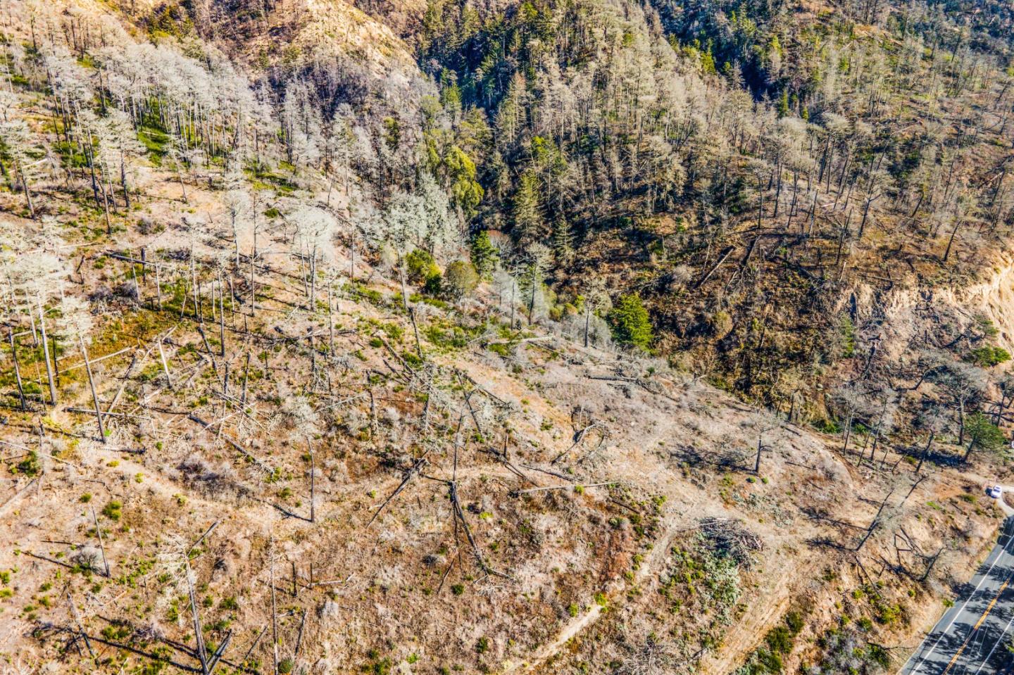 3744 Highway 1 Pescadero, CA 94060 - Photo 11 of 32 a view of a yard