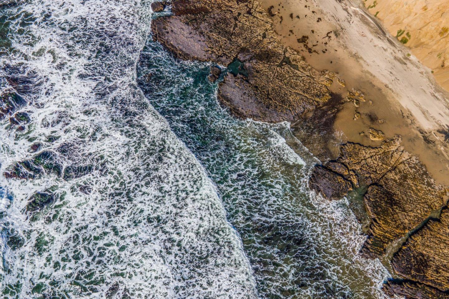 3744 Highway 1 Pescadero, CA 94060 - Photo 13 of 32 a view of a yard with a large tree