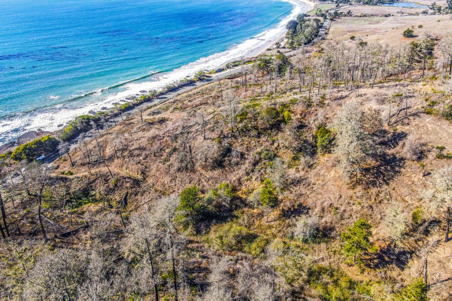 3744 Highway 1 Pescadero, CA 94060 - Photo 16 of 32 a view of a yard with a tree