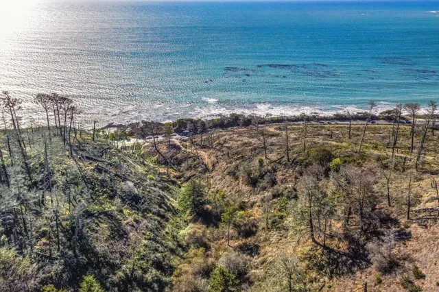 a tall building with a trees in the background