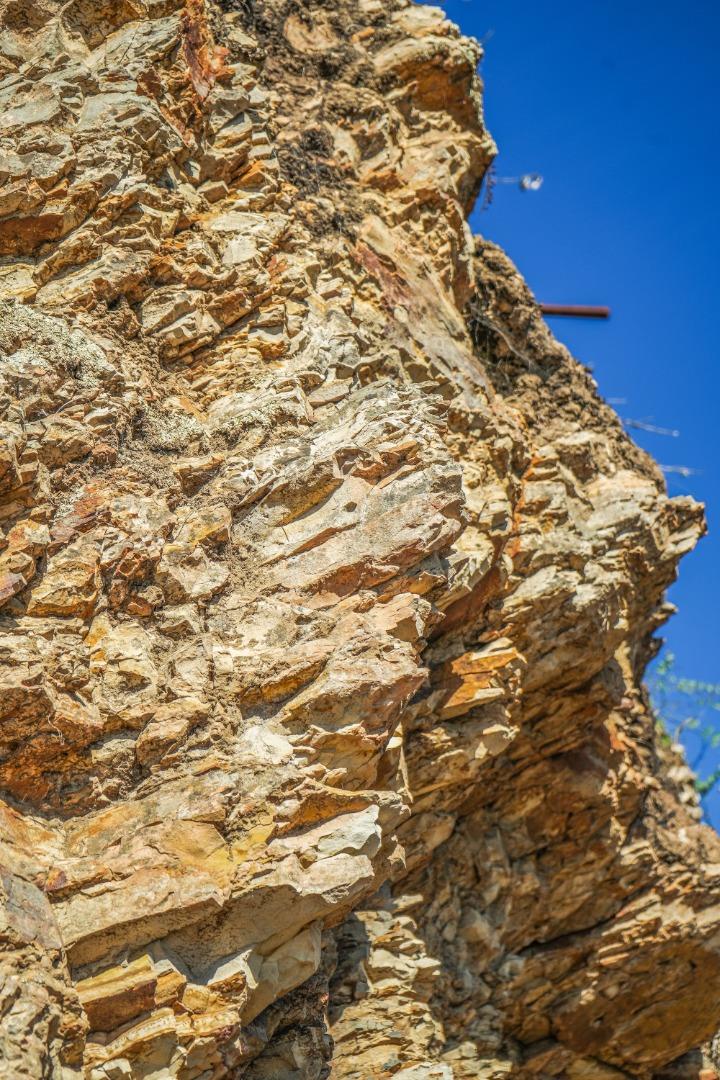 3744 Highway 1 Pescadero, CA 94060 - Photo 21 of 32 a tall building with a trees in the background