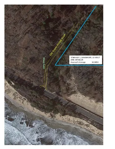 a black and white photo of a tree