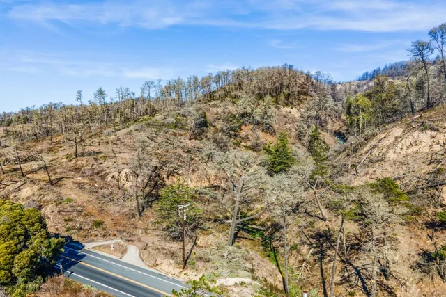 a view of a yard with large trees