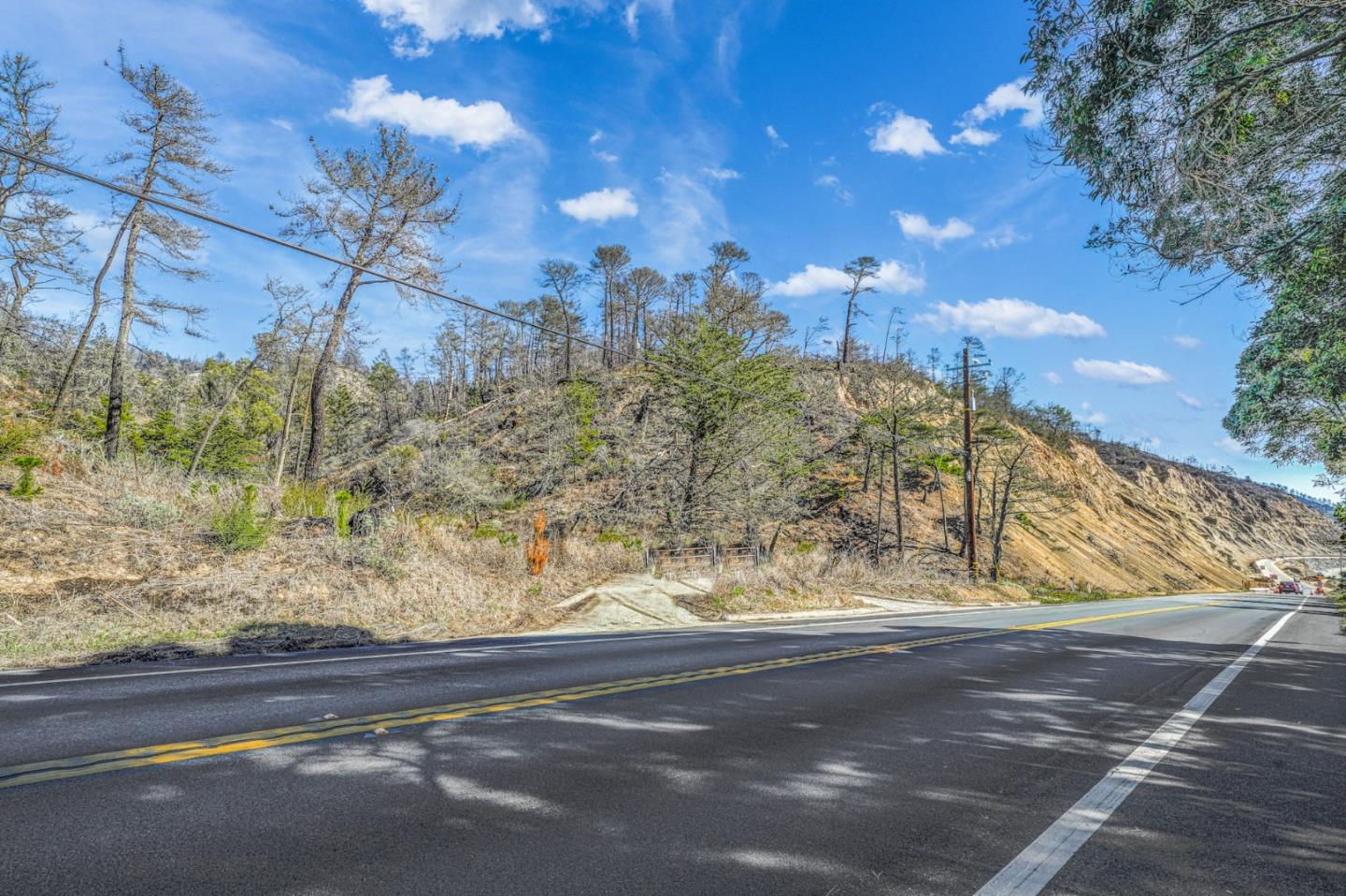 3744 Highway 1 Pescadero, CA 94060 - Photo 5 of 32 a view of a yard with large trees
