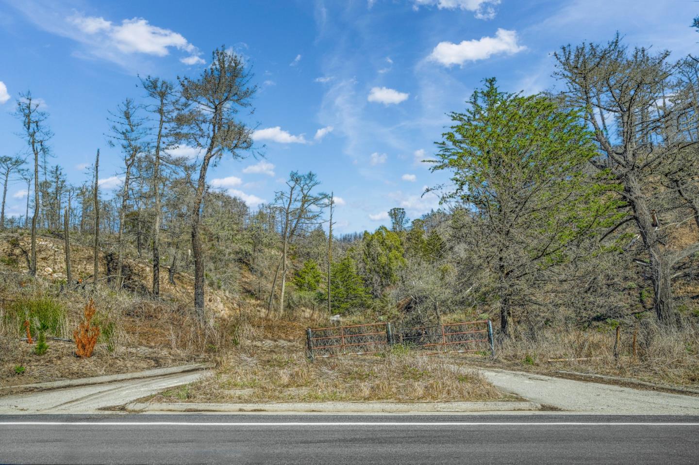 3744 Highway 1 Pescadero, CA 94060 - Photo 6 of 32 a view of a yard