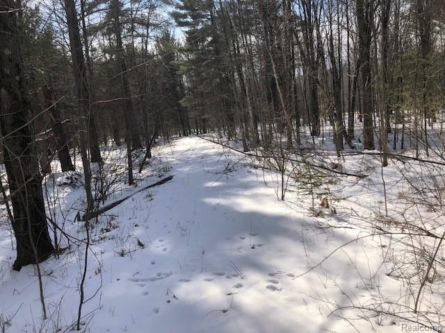 0 Gun Club Road Caro, MI 48723 - Photo 3 of 6