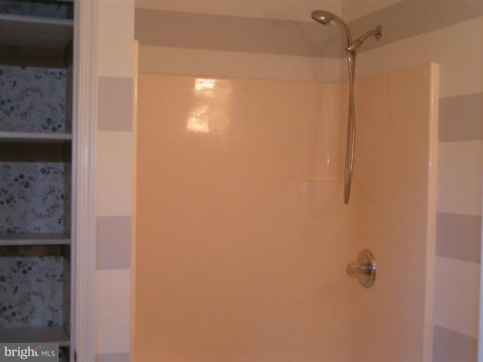 441 Wilson Road Rising Sun, MD 21911 - Photo 8 of 23 Bath (Master)
