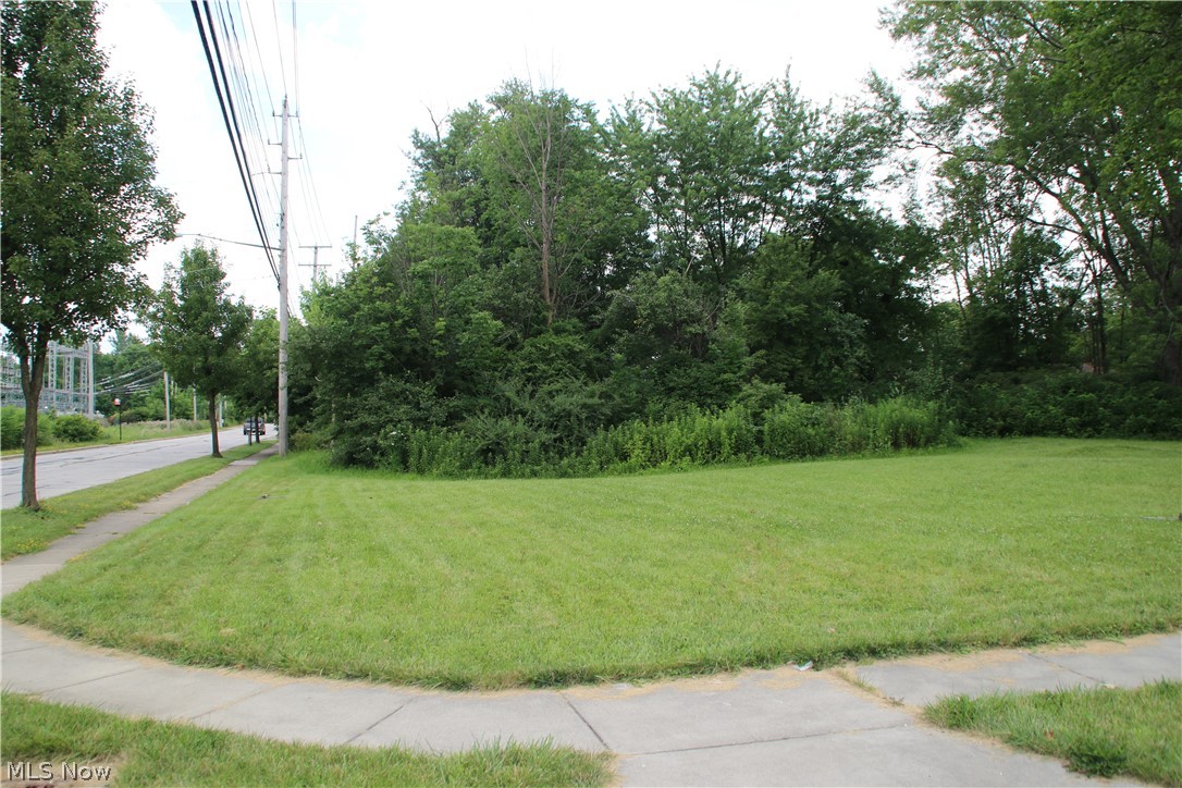 107 Hadden Road Twinsburg, OH 44087 - Photo 3 of 5 3rd Parcel from the corner of Hadden Rd & Oxford St. Across from South Park Rd. Wooded Lot for sale and the two cleared parcels are also available for sale.