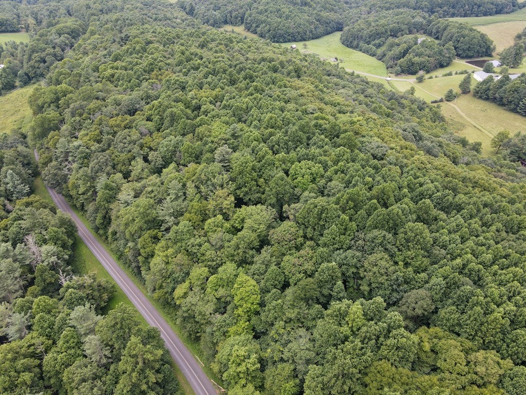 Squirrel Spur Rd Meadows Meadows Of Dan, VA 24120 - Photo 18 of 27 Gallery Image 18