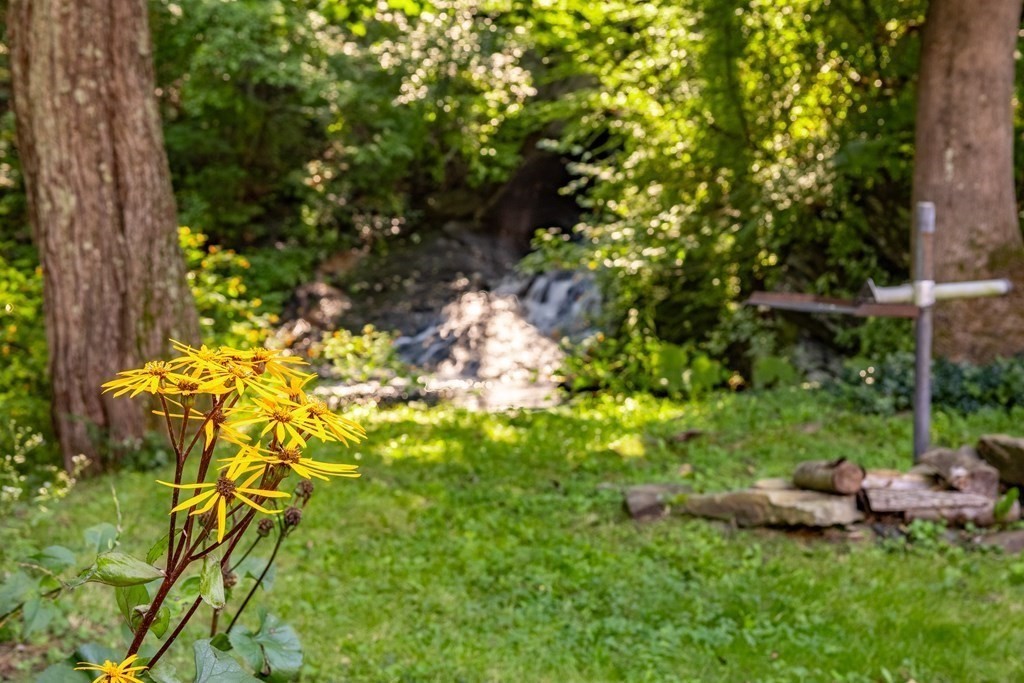 115 South Meadow Road Lancaster, MA 01523 - Photo 41 of 42 a view of a tree with a yard