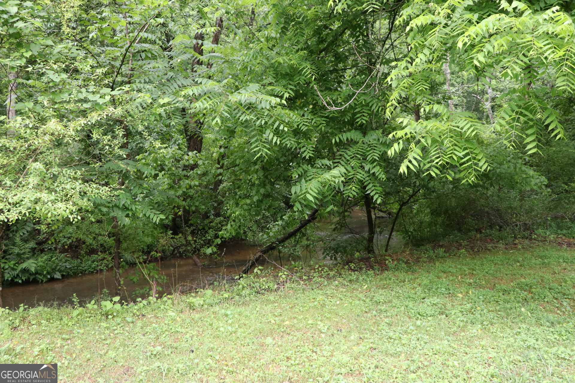 833 Neal Gap Road Summerville, GA 30747 - Photo 12 of 86